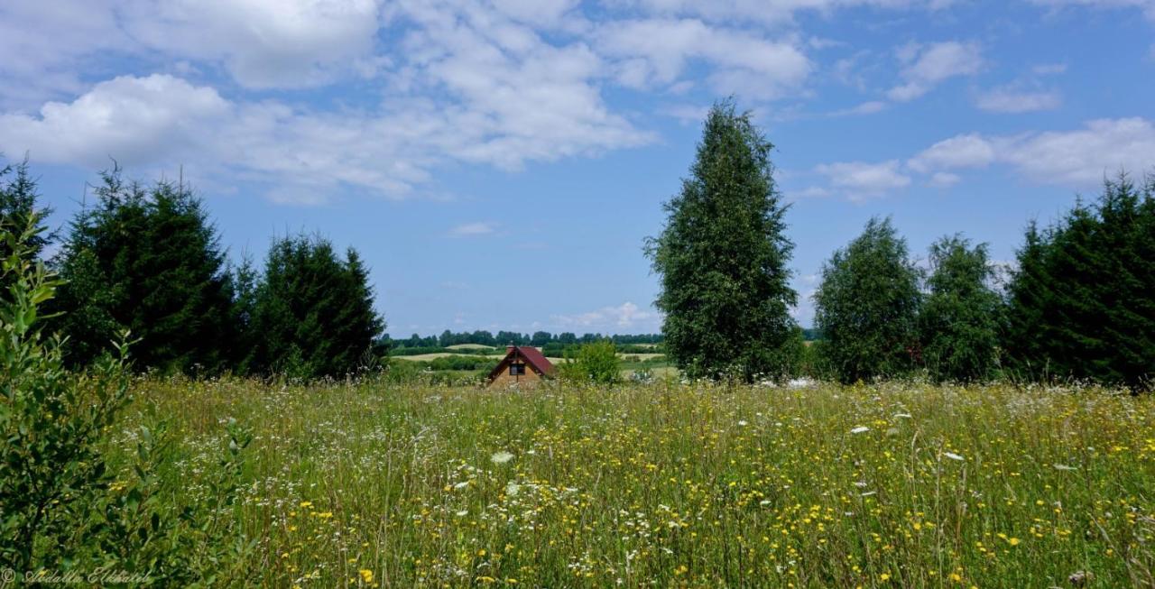 Caloroczne Domki Nad Jeziorem Luterskim Villa Piszewo Exterior photo