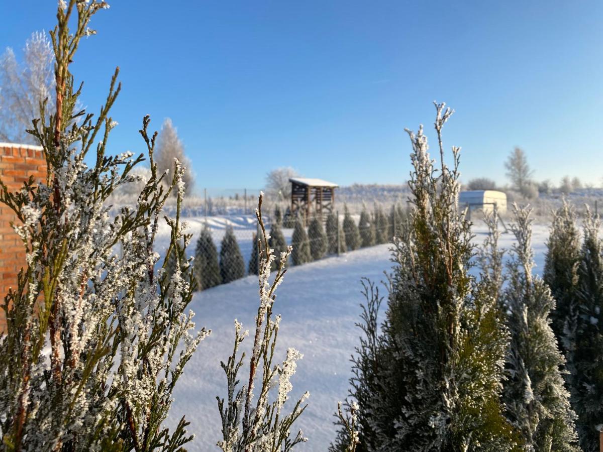 Caloroczne Domki Nad Jeziorem Luterskim Villa Piszewo Exterior photo